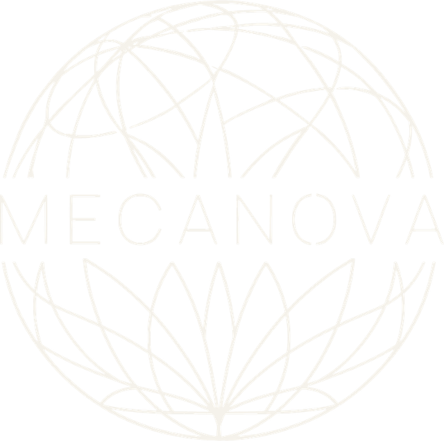 Mecanova