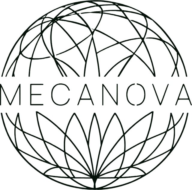 Mecanova