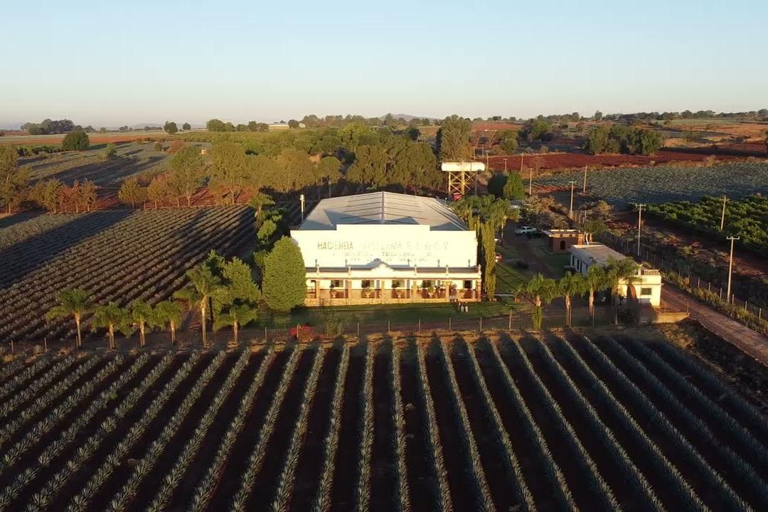 Die Hacienda Capellanía von oben, mitten in den Agavenfeldern von Los Altos